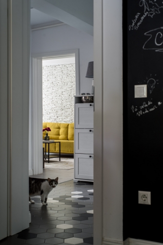 Apartament Tei